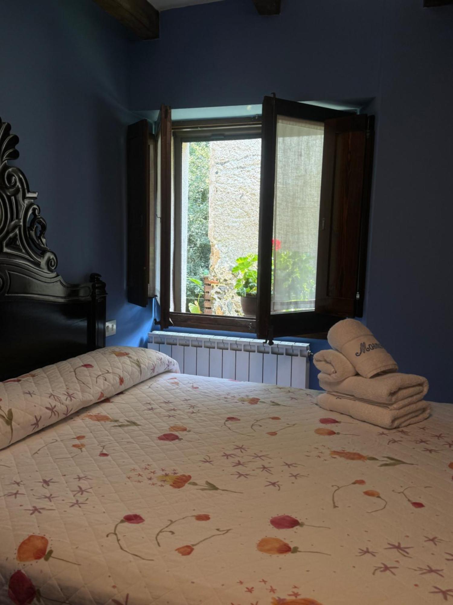 Mas Masnou Guest House Olot Bagian luar foto